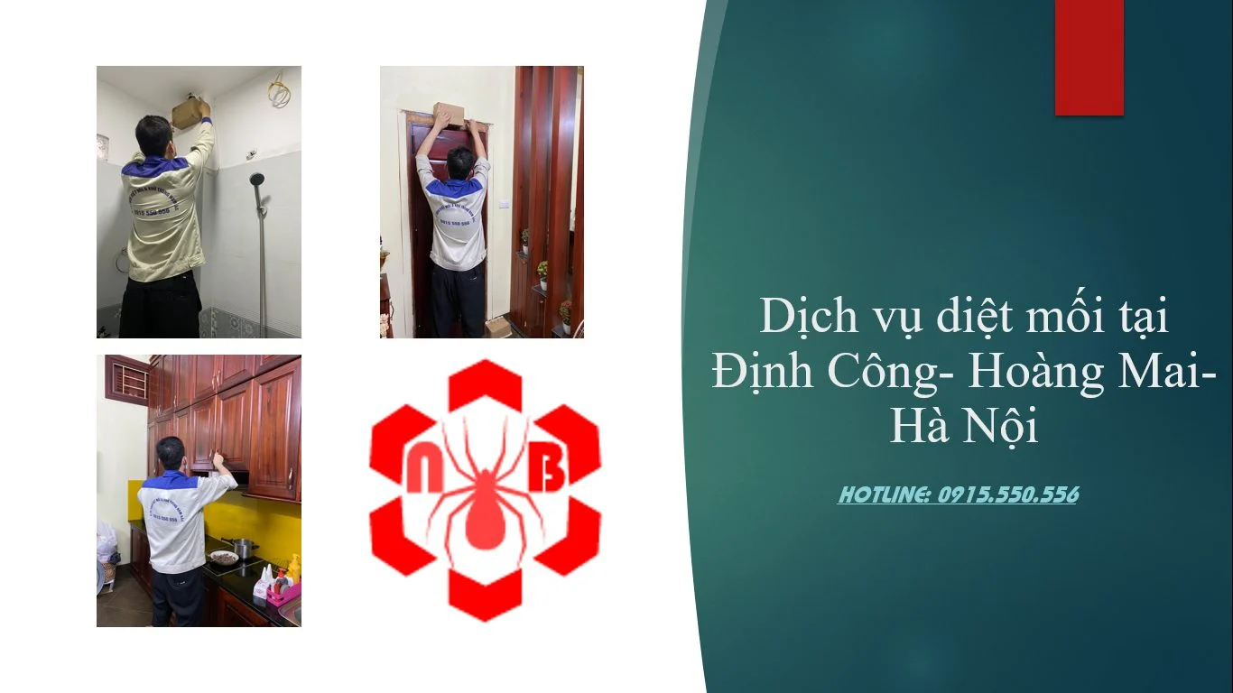 DIET-MOI-TAI-DINH-CONG