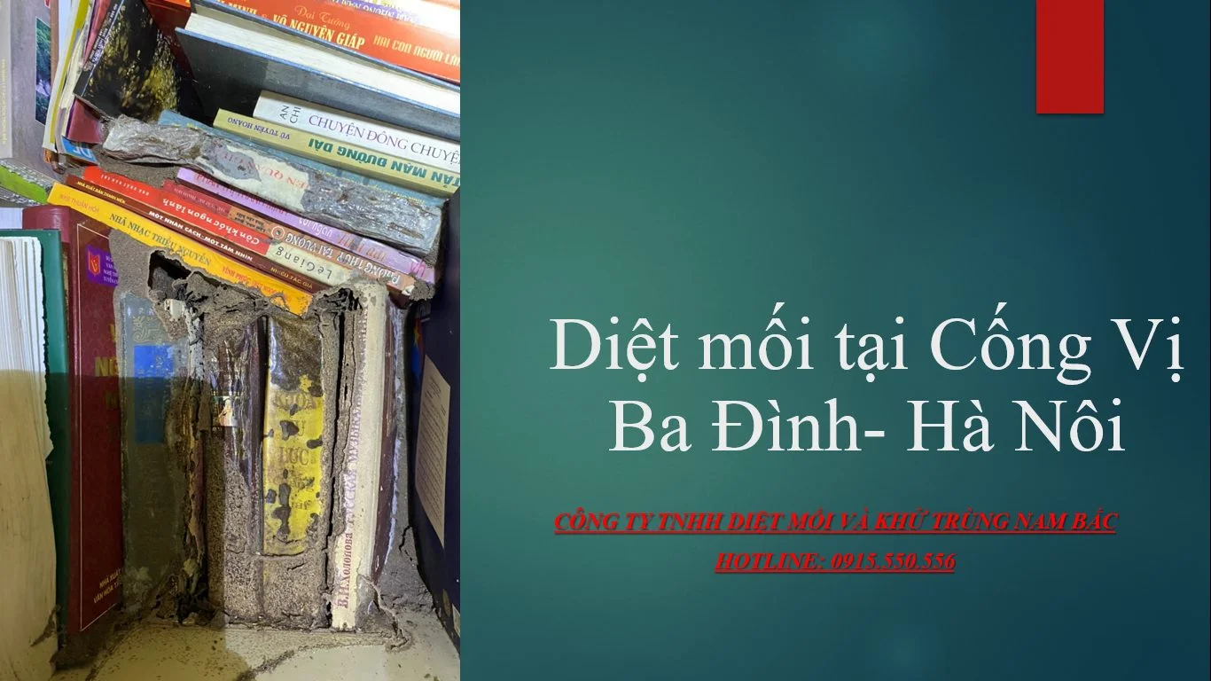 diet moi tai Cong Vi