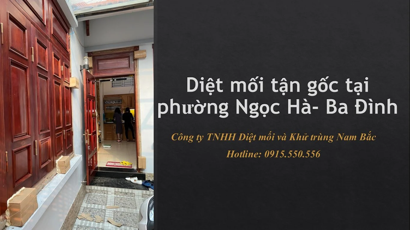 diet-moi-tai-ba-dinh