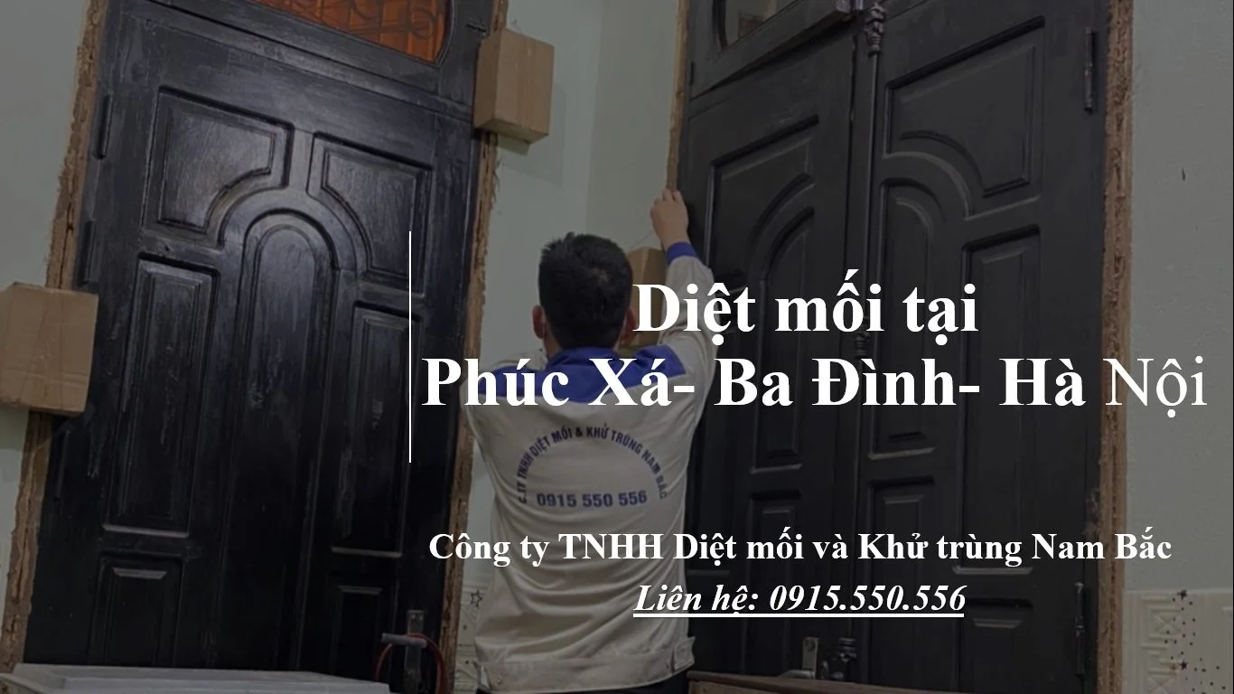 diet-moi-tai-phuc-xa