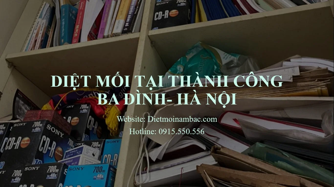 diet-moi-tai-thanh-cong