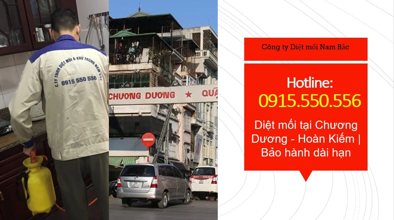 diet-moi-o-chuong-duong