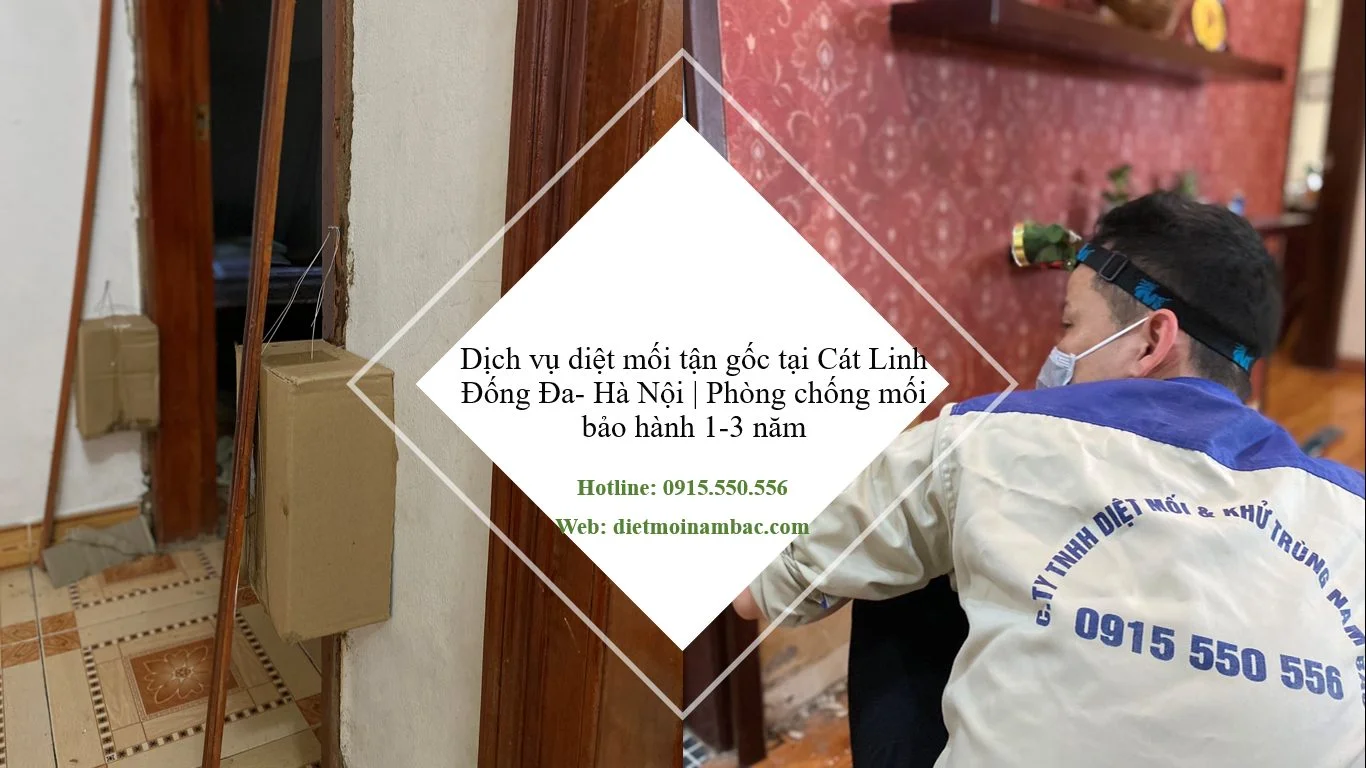 diet-moi-tai-cat-linh