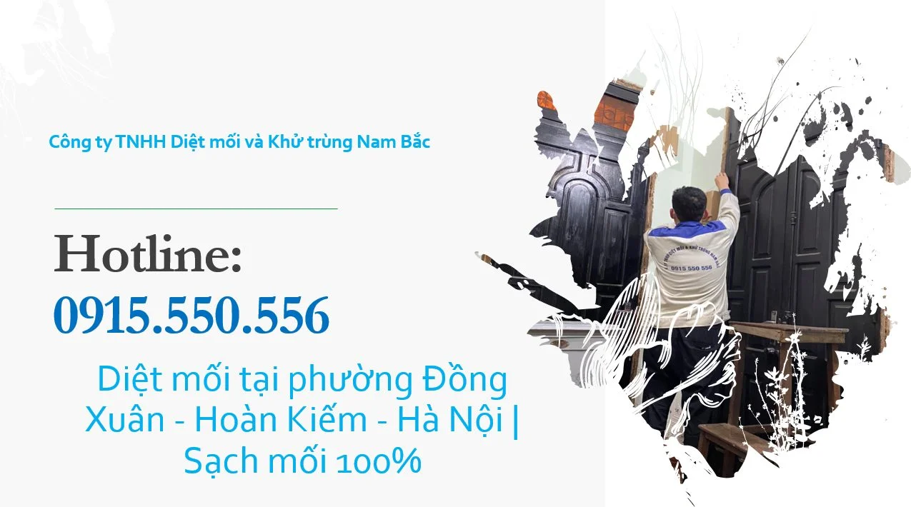 diet-moi-tai-dong-xuan