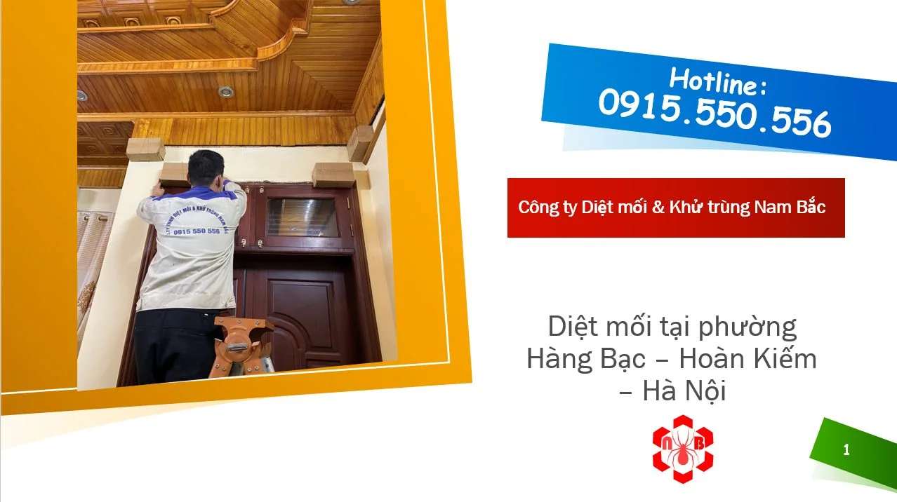 diet-moi-tai-hang-bac-hoan-kiem