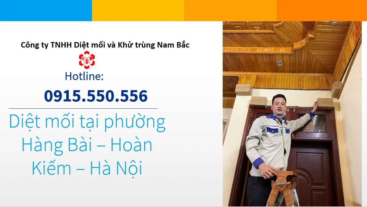 diet-moi-tai-hang-bai-hoan-kiem