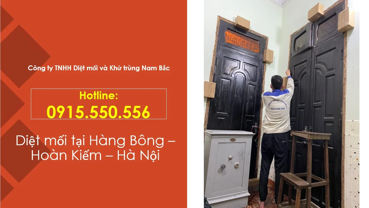 diet-moi-tai-hang-bong-hoan-kiem