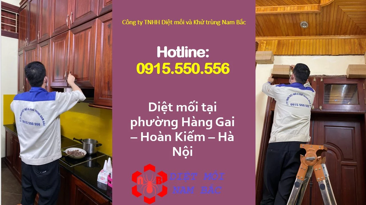 diet-moi-tai-hang-gai-hoan-kiem