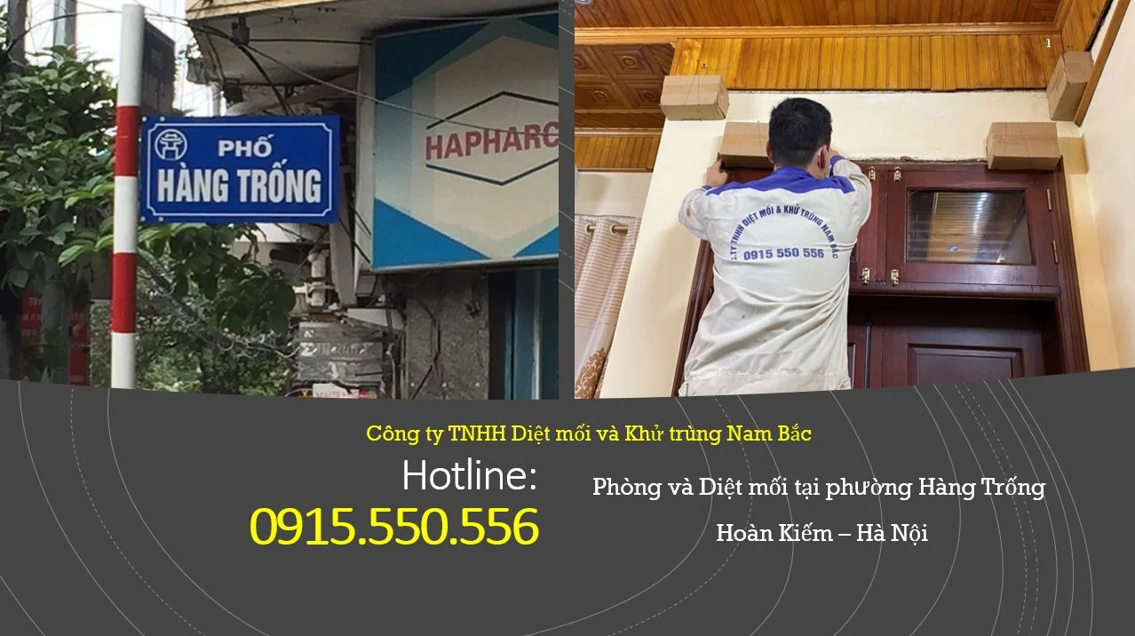diet-moi-tai-hang-trong