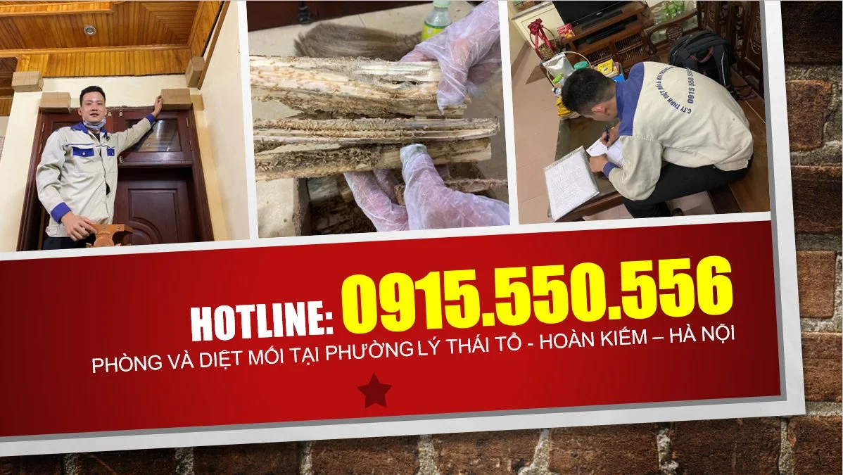 diet-moi-tai-ly-thai-to