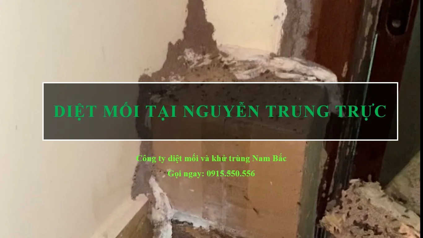 diet-moi-tai-Ba-Dinh