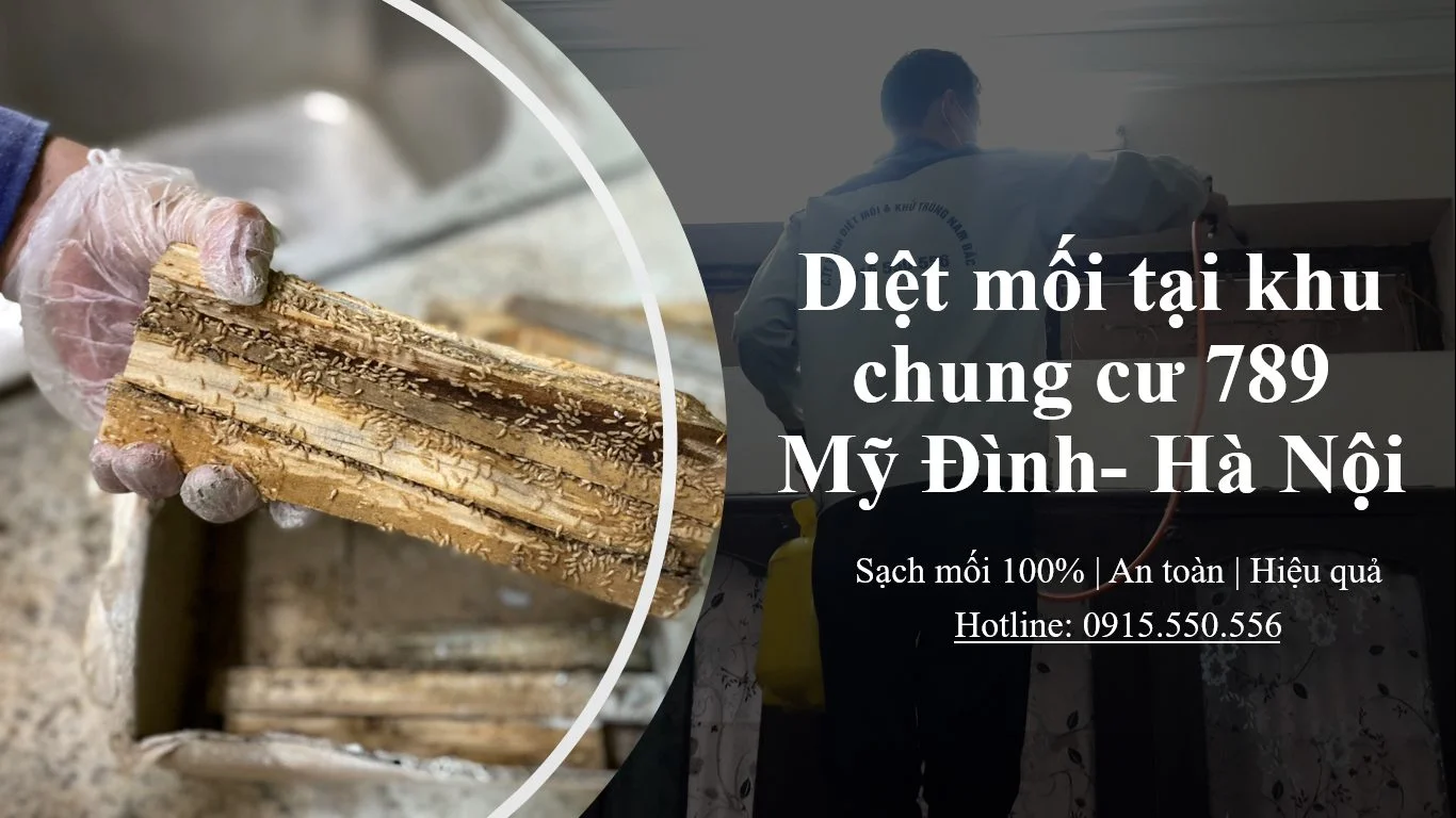 diet-moi-chung-cu