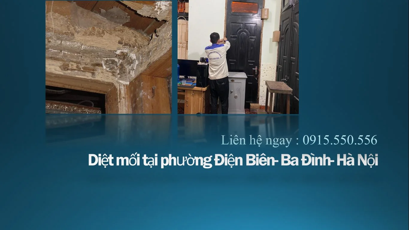 diet-moi-tai-phuong-dien-bien