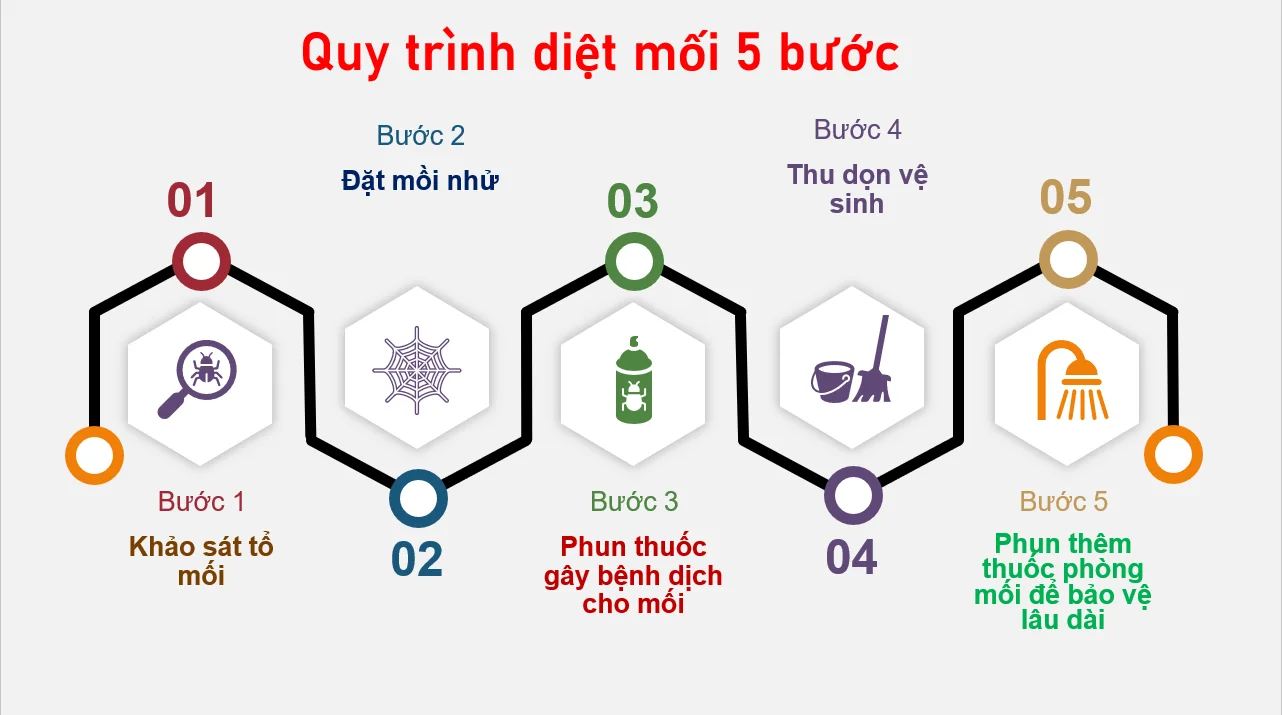 quy trinh diet moi