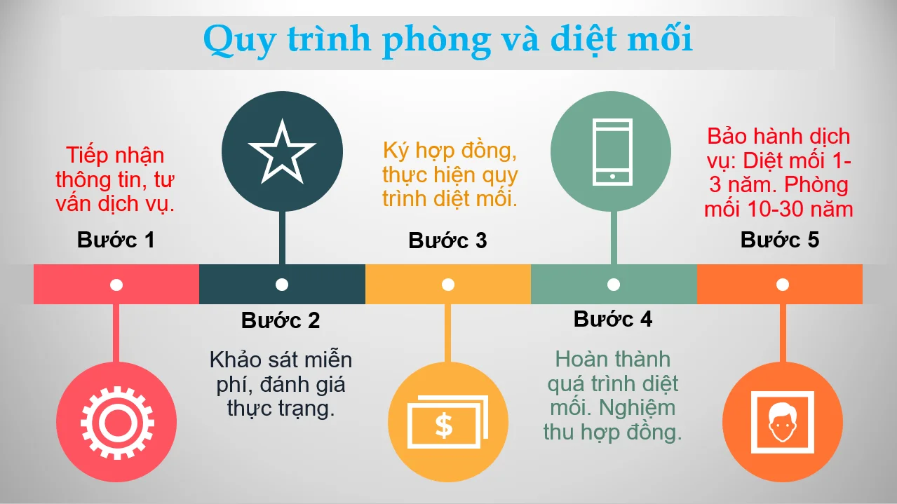 quy-trinh-phong-moi