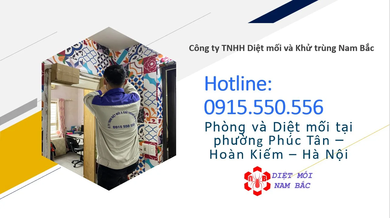 diet-moi-tai-phuc-tan