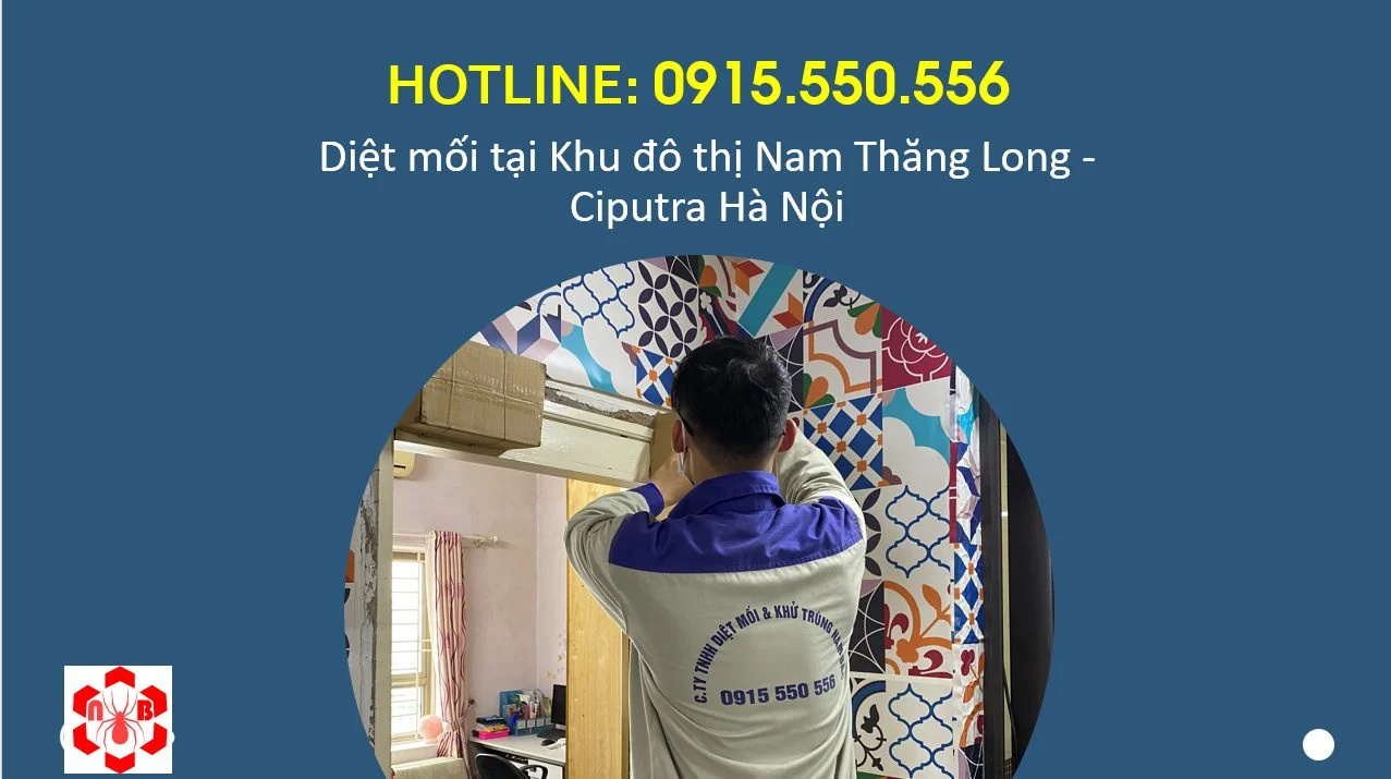 diet-moi-tai-ciputra