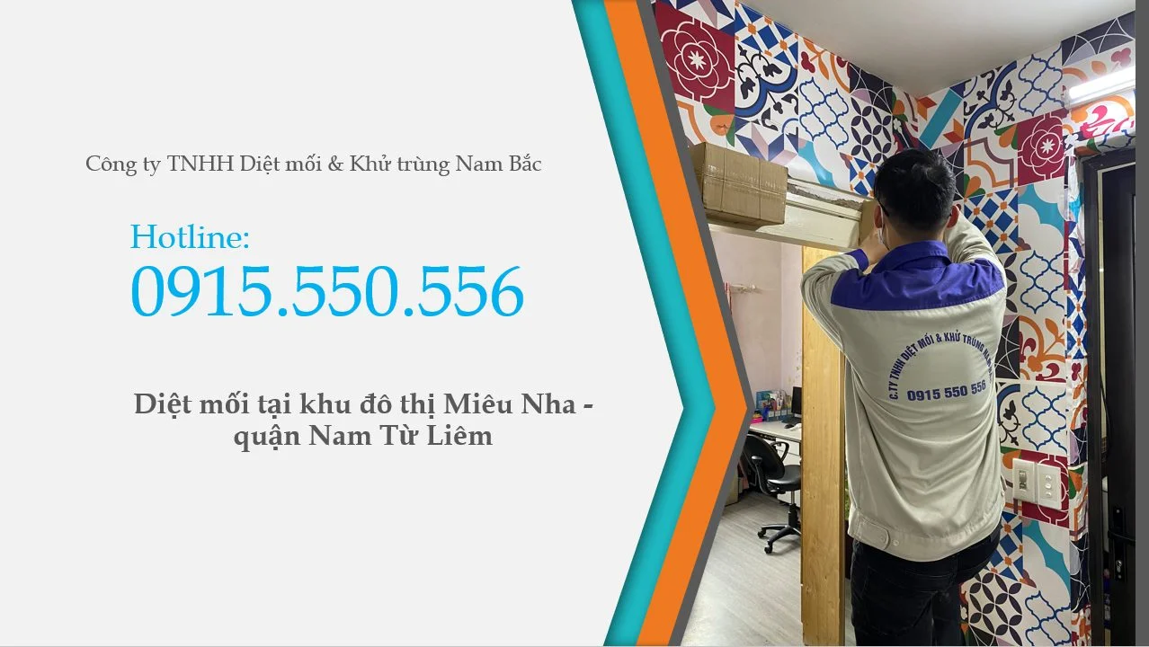 diet-moi-tai-mieu-nha