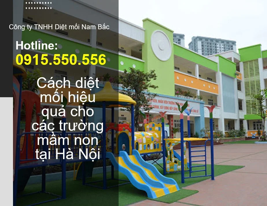 diet-moi-truong-man-non