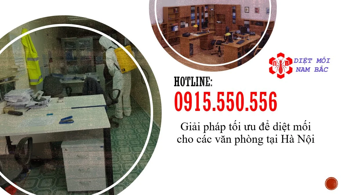 diet-moi-cho-van-phong-o-ha-noi