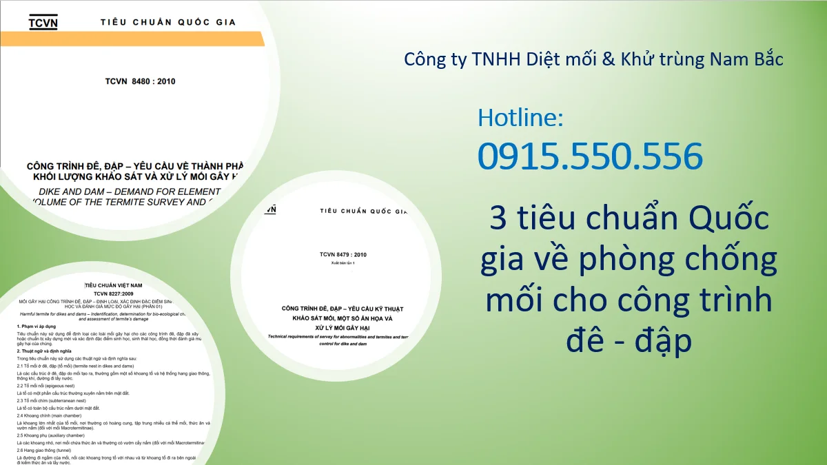 phong-moi-de-dap-tcvn