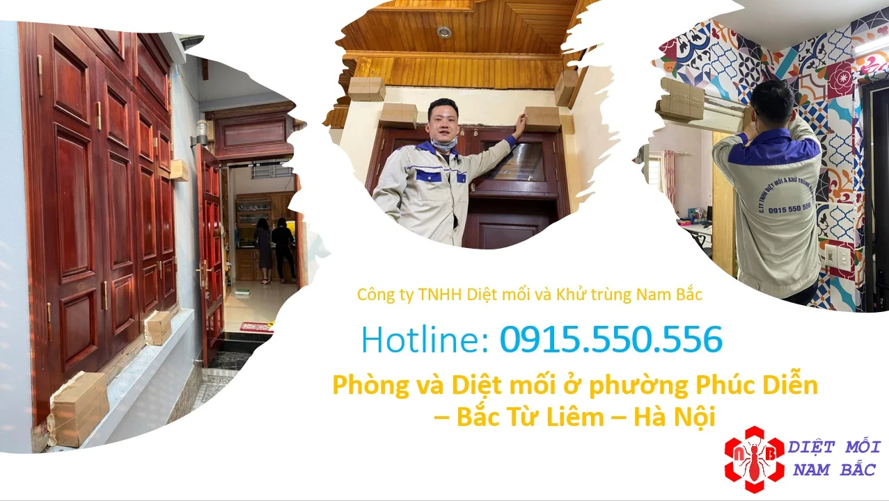 diet-moi-o-phuc-dien